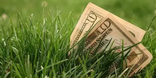 Core aeration helps maintain a healthy lawn while saving on affordable lawn maintenance